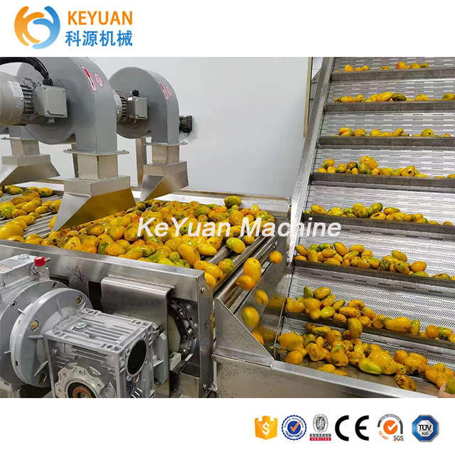 Automatic Low Price Juice Filling Machine for Mango