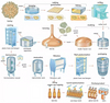 Automatic Carbonated Drink Filling Machine for Beer