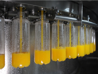 Automatic Low Price Juice Filling Machine for Mango