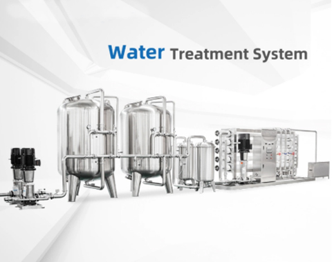 10T/H Water Treatment System/Purified water filtration/RO system