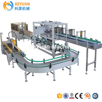 Automatic Vertical Case Packer Machine For Bottle Or Canned Beer Juice Case Filling Machine